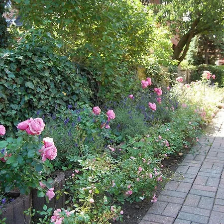 Schoenes-wohnen-am-suedstrand-fewo-3 Apartmán *